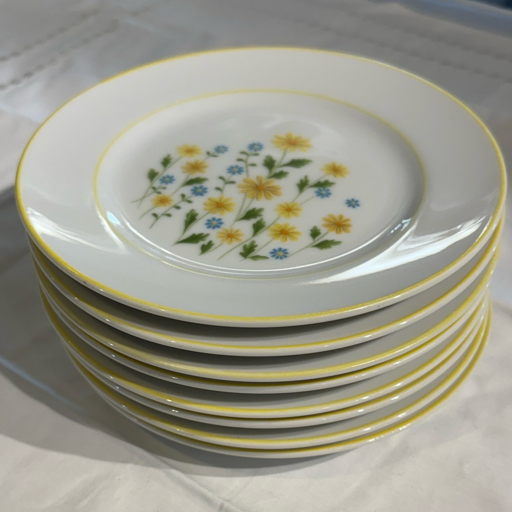 Jardin Marguerite Fine China-Set of 8 Bread & Butter Plates-Excellent Condition